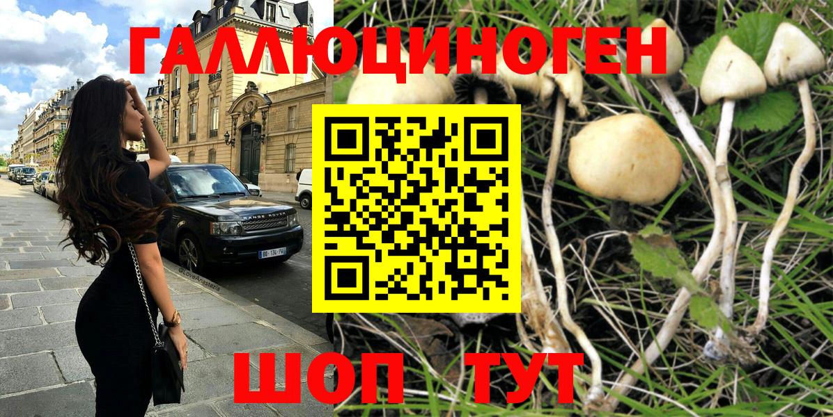 Псилоцибиновые грибы MAGIC MUSHROOMS Чайковский