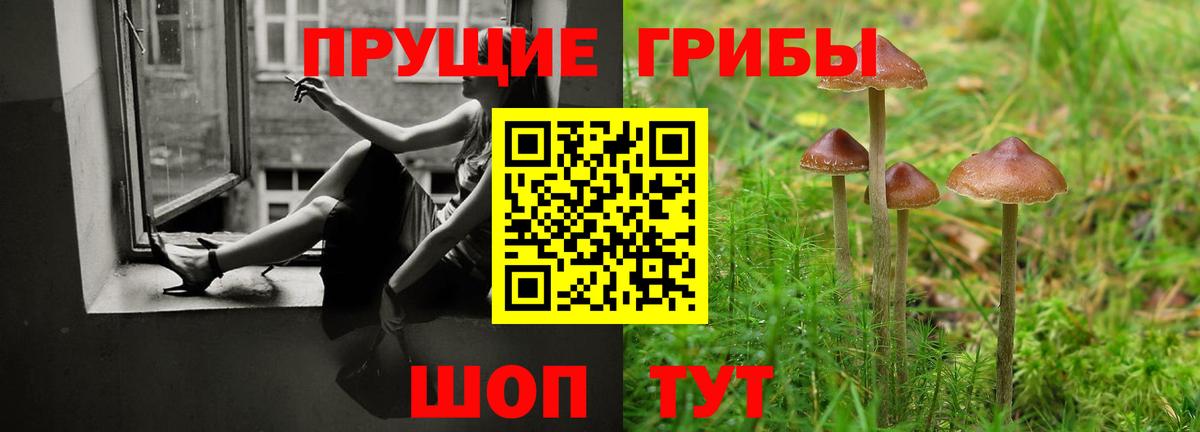 НБОМе  МЕТ  Конопля  МЕФ кристаллы  Вход с VPN  Кодеин  Чайковский  Гашиш  Амфетамин  